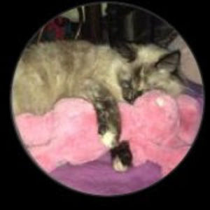 Meet your Posher, Jude